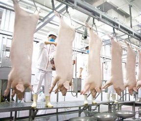 屠宰加工废气方案