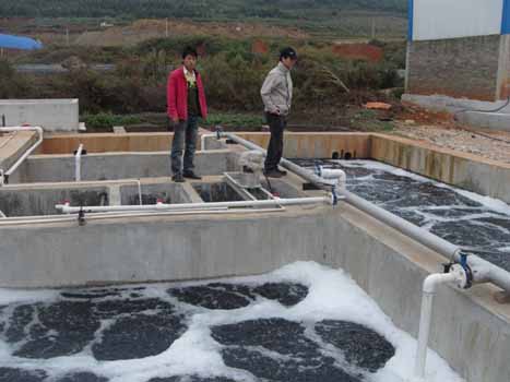 造纸厂废气案例