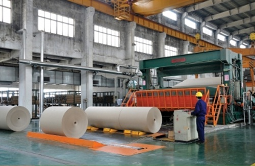 造纸厂废气案例