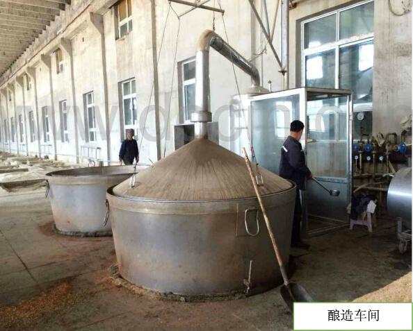 永利总站5856官方网站