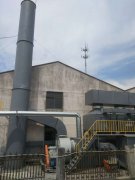 涂料生产企业RCO催化燃烧废气治理项目顺利通过